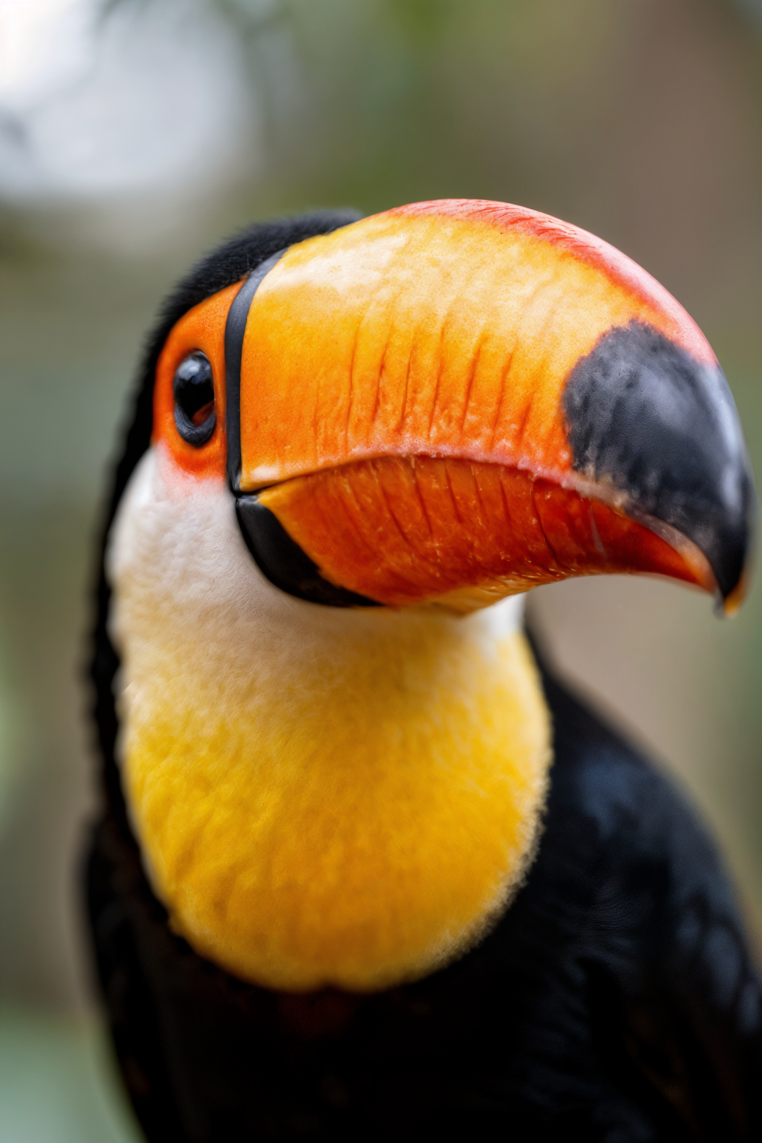 Impulsionar Negócios